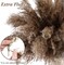 Dried Pampas Grass Decor 17 Inch Bulk Natural Small Pompous Wild Fluffy Pampas Floral Boho Decor Flowers for Wedding Party Farmhouse Home Bathroom Office Kitchen(100 Pcs,Brown)